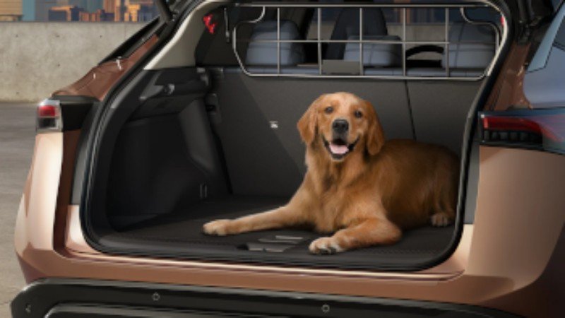 2025 nissan ariya retractable pet divider